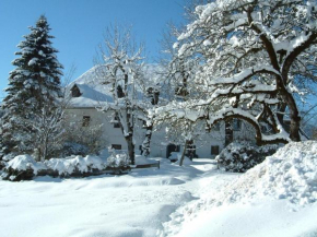 Steiner Stammhaus